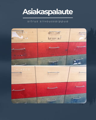 Asiakaspalaute Siivoussaippua