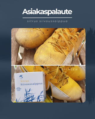 Asiakaspalaute Siivoussaippua