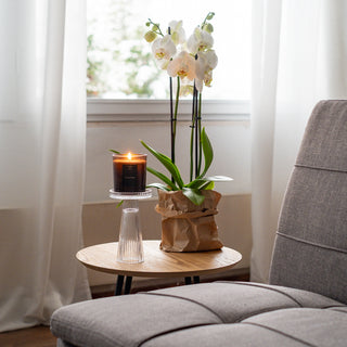 II-LAATU Tuoksukynttilä Vanilja & Pioni [lyhyt sydänlanka], paloaika n. 45h, vegaaninen, palaa myrkyttömästi - Saaren Taika Decor Saaren Taika Decor
