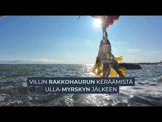 Kiinteyttävä Rakkohauru Kaktusöljy Silmänympärys öljyseerumi, UNISEX, 100% luonnollinen, vegaaninen, 5ml Silmänympärysvoide Saaren Taika Handmade